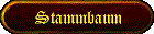 Stammbaum der Familie Rohner
